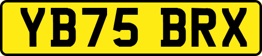 YB75BRX