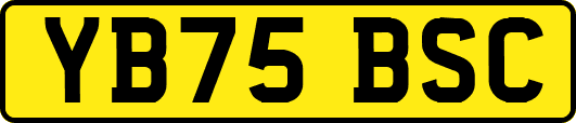 YB75BSC