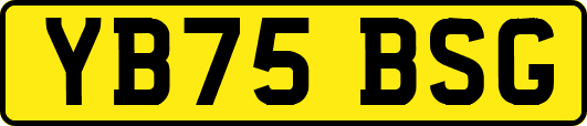 YB75BSG