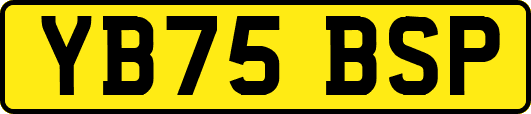 YB75BSP