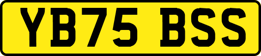 YB75BSS