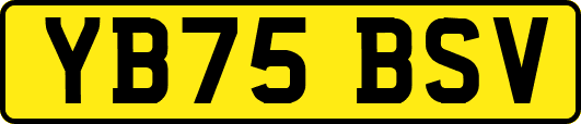 YB75BSV