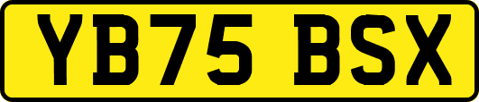YB75BSX