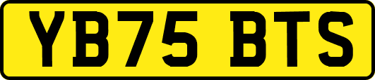 YB75BTS