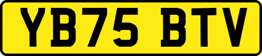 YB75BTV