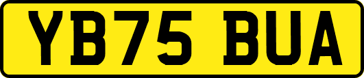 YB75BUA