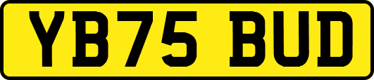 YB75BUD