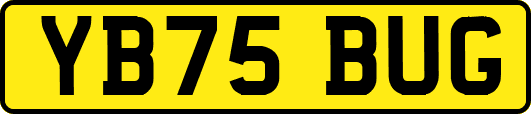 YB75BUG