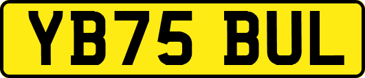 YB75BUL