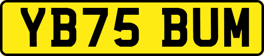 YB75BUM