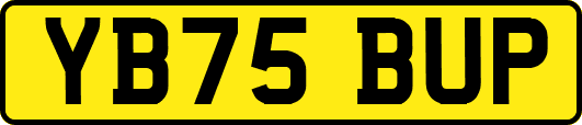 YB75BUP