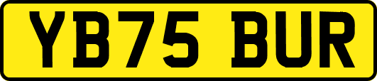 YB75BUR