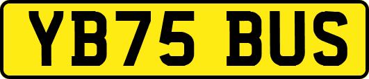 YB75BUS