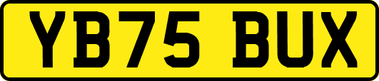YB75BUX