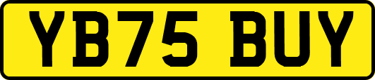 YB75BUY
