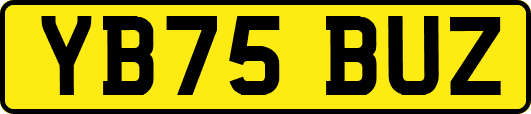YB75BUZ