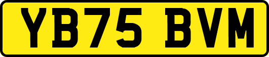 YB75BVM