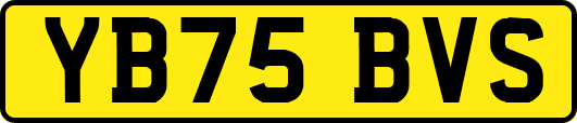 YB75BVS