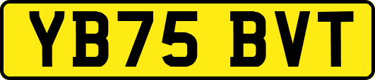 YB75BVT