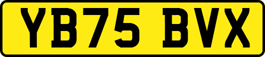 YB75BVX