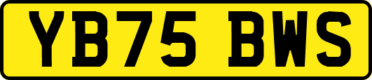 YB75BWS
