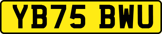 YB75BWU