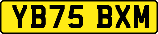 YB75BXM