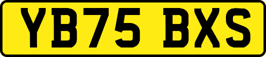 YB75BXS