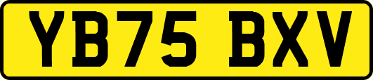 YB75BXV
