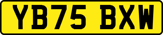 YB75BXW