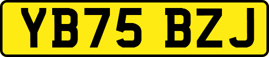 YB75BZJ