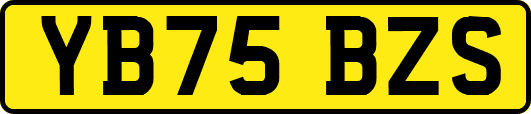 YB75BZS