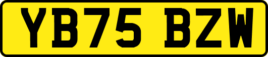 YB75BZW