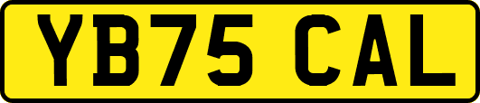 YB75CAL