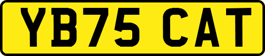 YB75CAT