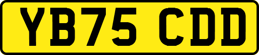 YB75CDD