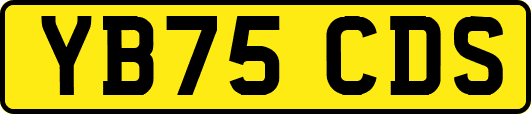 YB75CDS