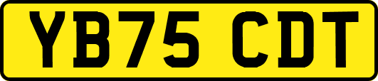 YB75CDT
