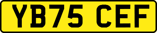 YB75CEF