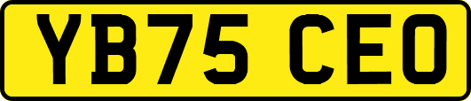 YB75CEO