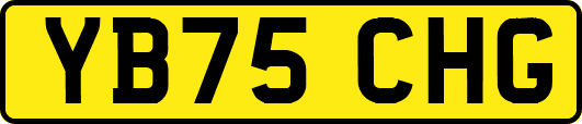 YB75CHG