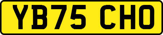 YB75CHO