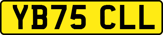 YB75CLL