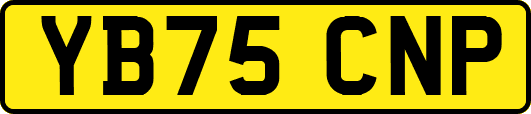 YB75CNP
