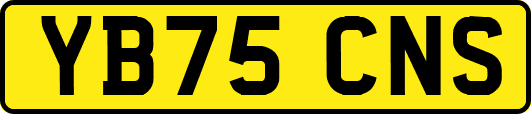 YB75CNS