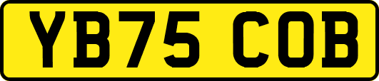 YB75COB