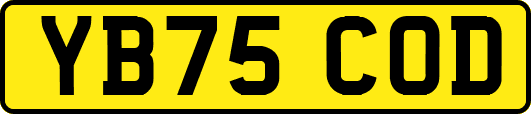 YB75COD