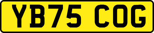 YB75COG