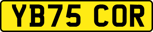 YB75COR