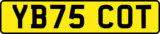 YB75COT